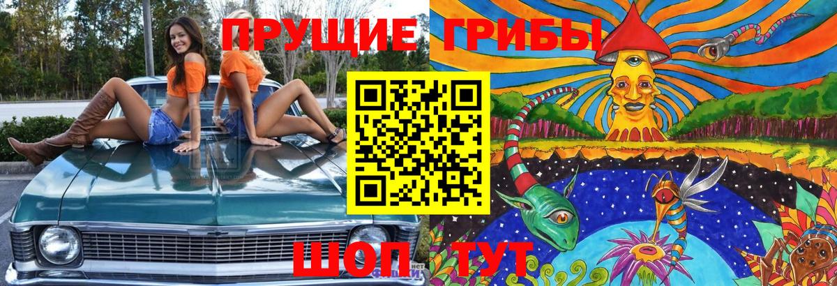 Псилоцибиновые грибы GOLDEN TEACHER  Галлюциногенные грибы Cubensis  Красноуфимск  Вход с VPN 