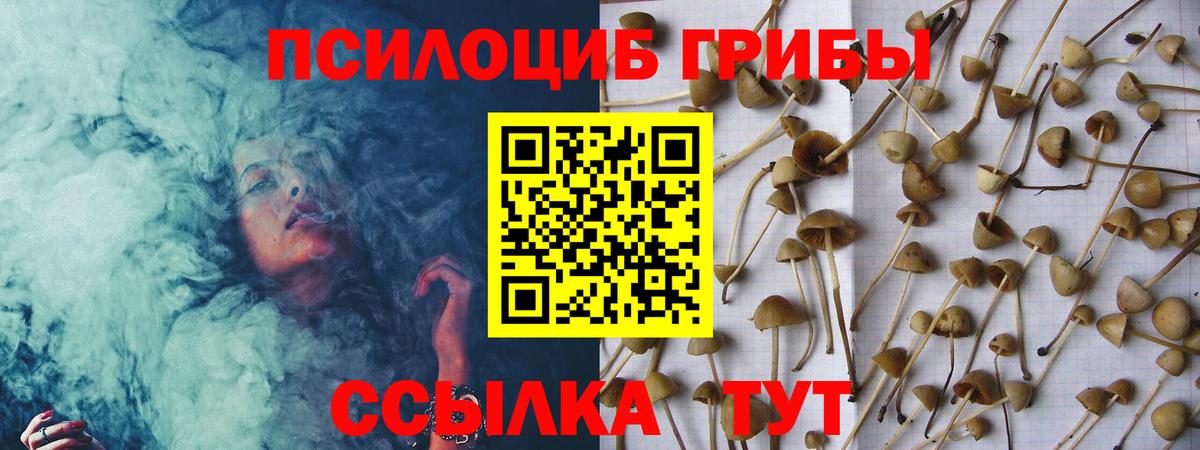 Псилоцибиновые грибы MAGIC MUSHROOMS Красноуфимск