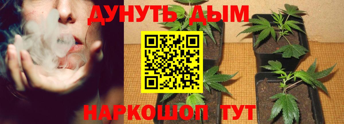 Бошки Шишки план  МАРИХУАНА сатива  Вход с VPN  Красноуфимск  Шишки марихуана гибрид  Канабис семена 